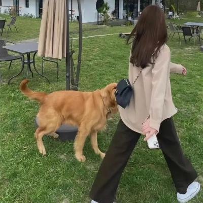 丹颂
