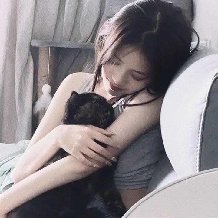 主妇的战争